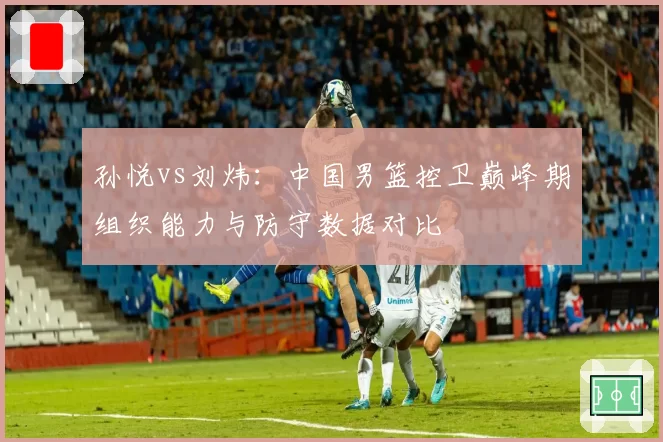 孙悦vs刘炜：中国男篮控卫巅峰期组织能力与防守数据对比