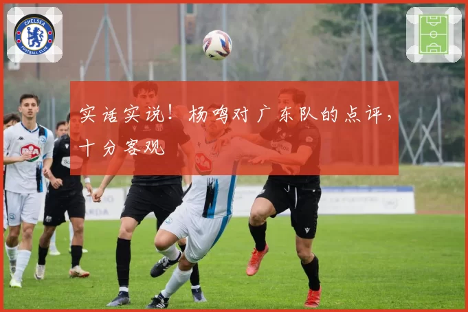 实话实说！杨鸣对广东队的点评，十分客观