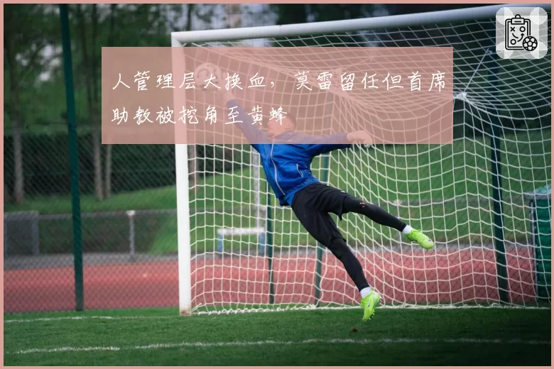 人管理层大换血，莫雷留任但首席助教被挖角至黄蜂