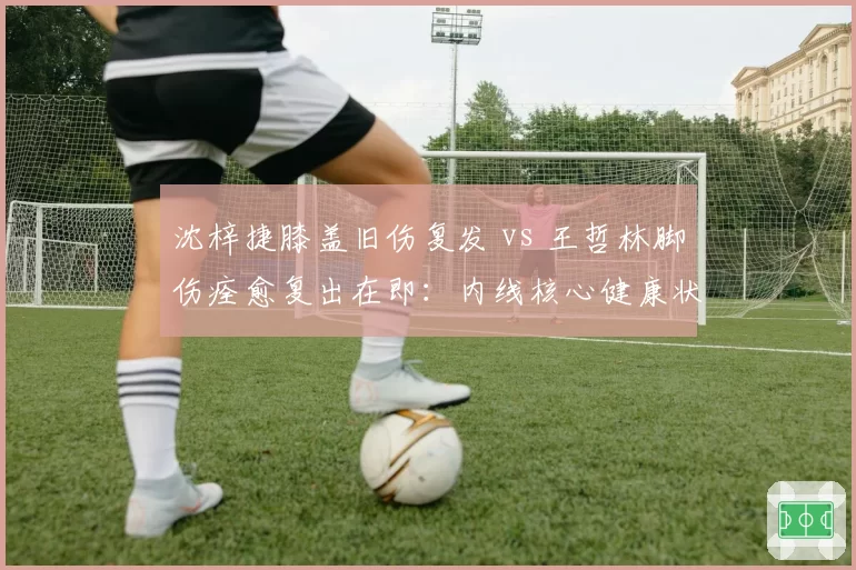 沈梓捷膝盖旧伤复发 vs 王哲林脚伤痊愈复出在即：内线核心健康状况冰火两重天