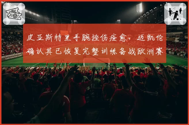 皮亚斯特里手腕挫伤痊愈，迈凯伦确认其已恢复完整训练备战欧洲赛段