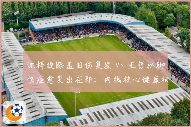 沈梓捷膝盖旧伤复发 vs 王哲林脚伤痊愈复出在即：内线核心健康状况冰火两重天